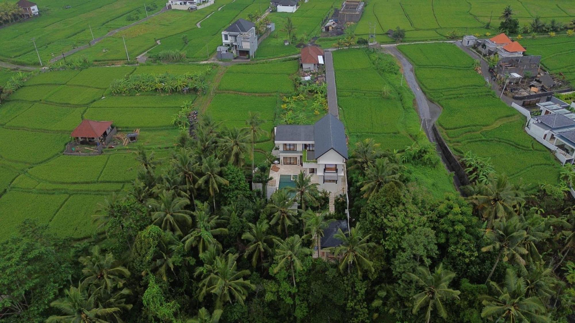 Honey Villa Ubud By Island Escape Exterior foto